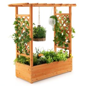 Raised Garden Bed With Trellis Or Climbing Plant And Hanging Roof